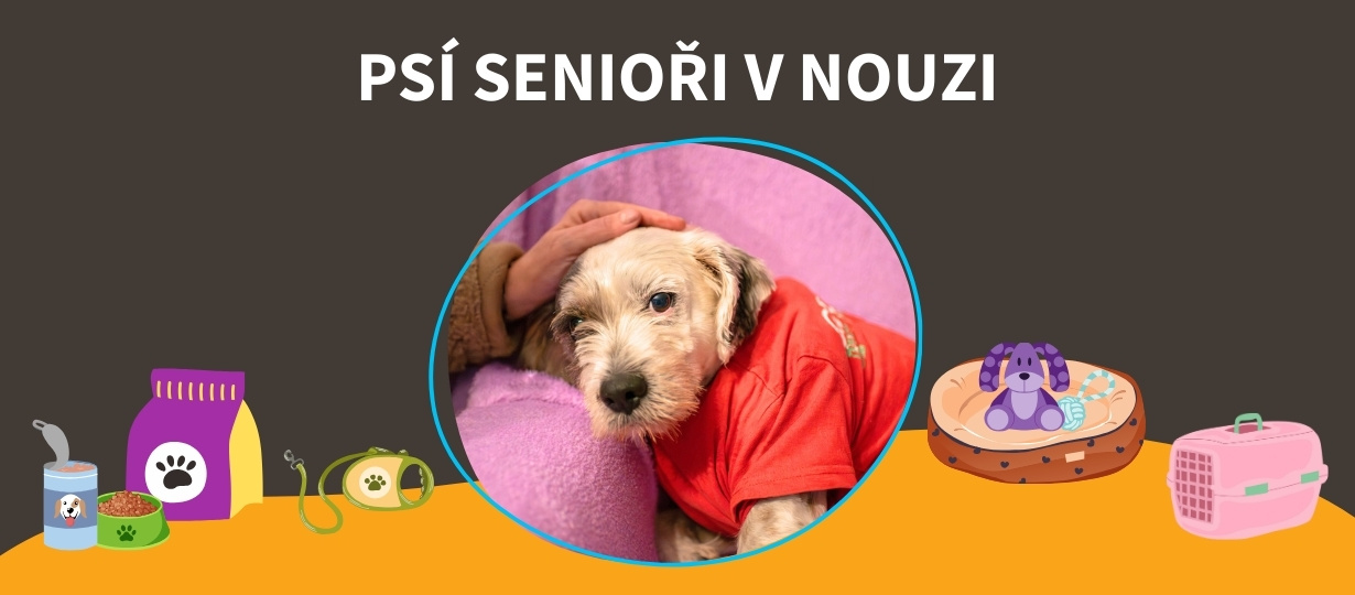psi_seniori